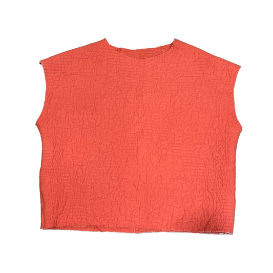 Hey Pumpkin Vest (M)